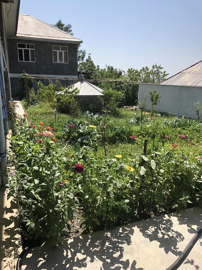 Shaki Host House Bed & Breakfast Şǝki Exterior foto