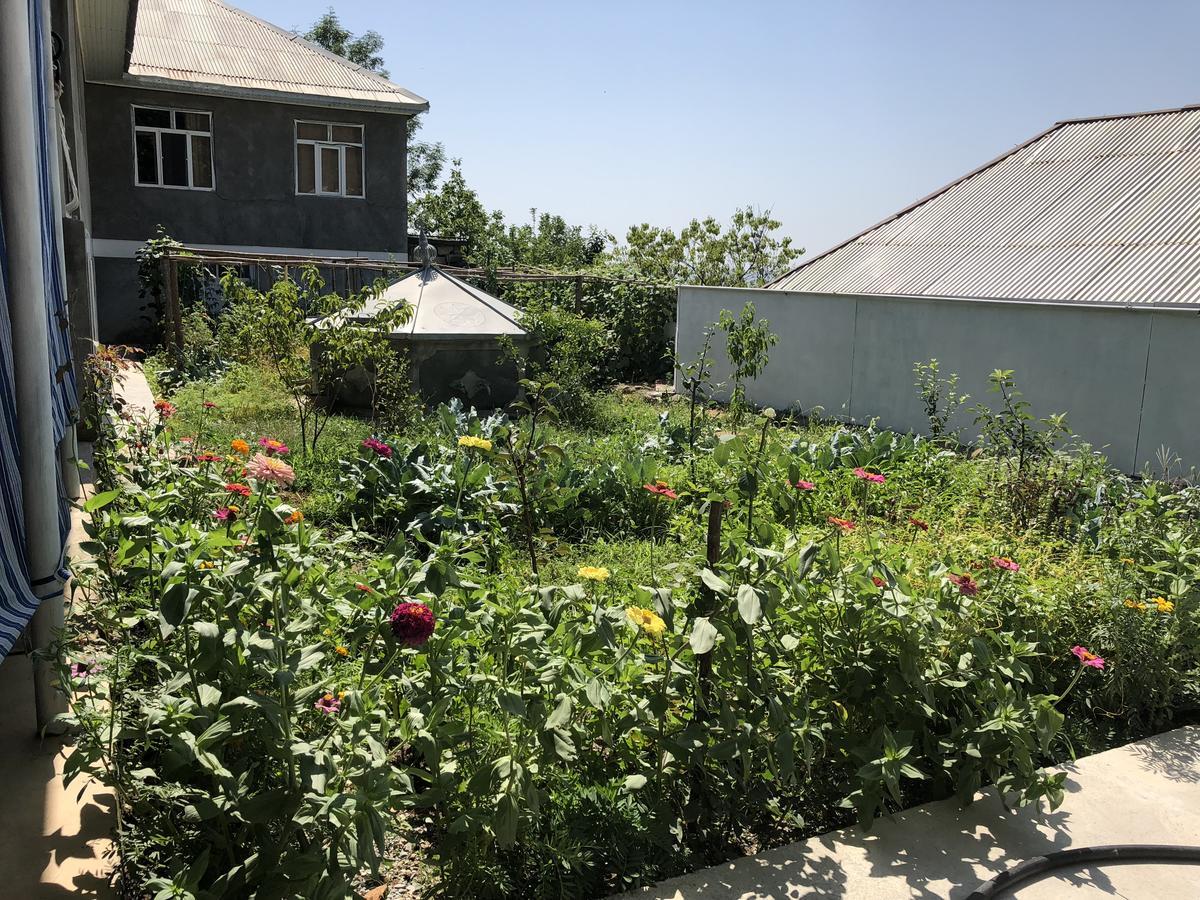 Shaki Host House Bed & Breakfast Şǝki Exterior foto